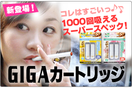 ギガカートリッジの紹介