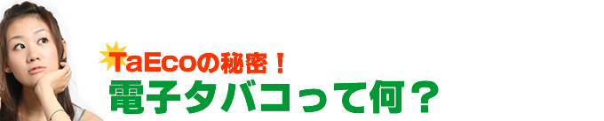�d�q�^�o�R���ĉ��H