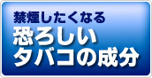 �։��������Ȃ鋰�낵�����΂��̐���