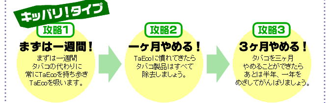 TaEco�̋։��U���̓� �L�b�p���I�^�C�v