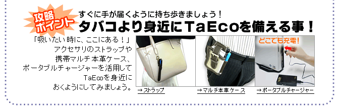 TaEco�̋։��U���|�C���g