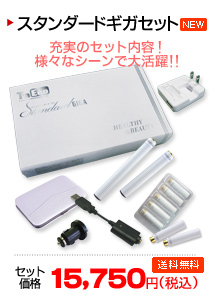 �X�^���_�[�h�M�K�Z�b�g�͂�����