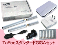 �d�q���΂�TaEco �X�^���_�[�h�M�K