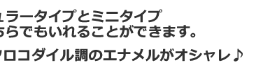 �|�P�b�g�P�[�X